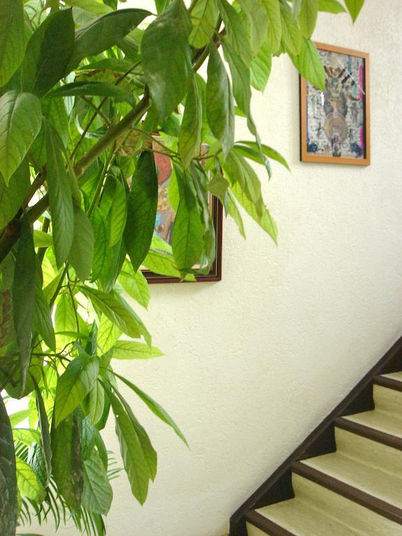 Dakini'S Bed & Breakfast Zürich Exteriör bild